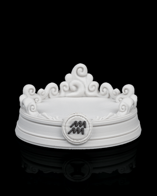 Aquarius Charm 1