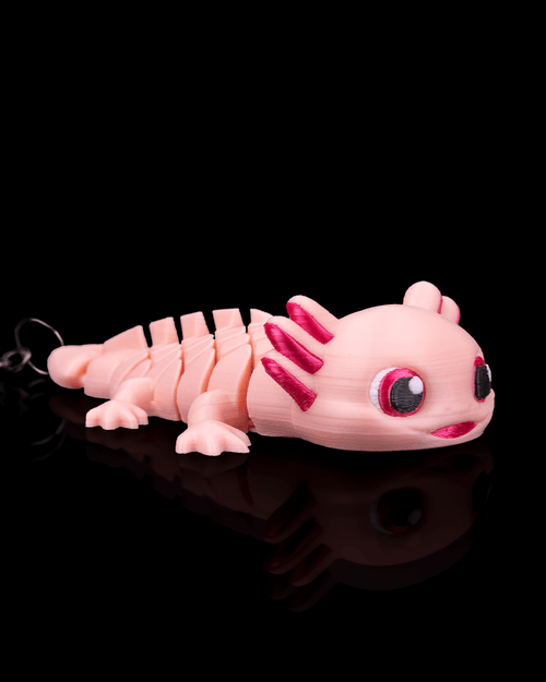 Ashley The Axolotl 1