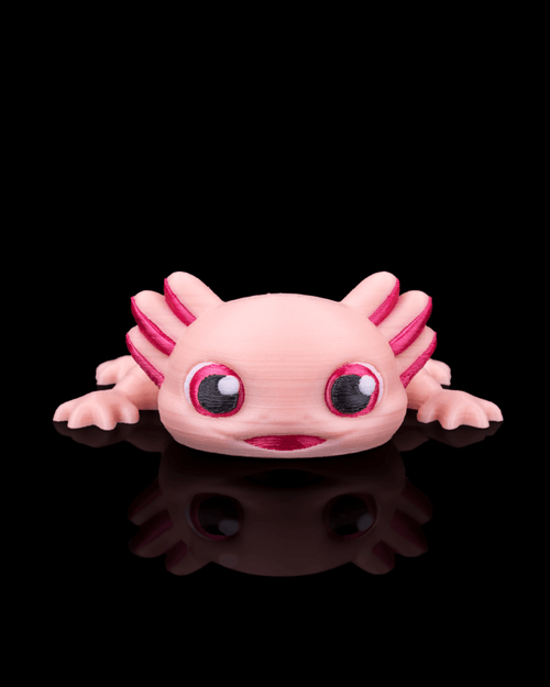 Ashley The Axolotl 2