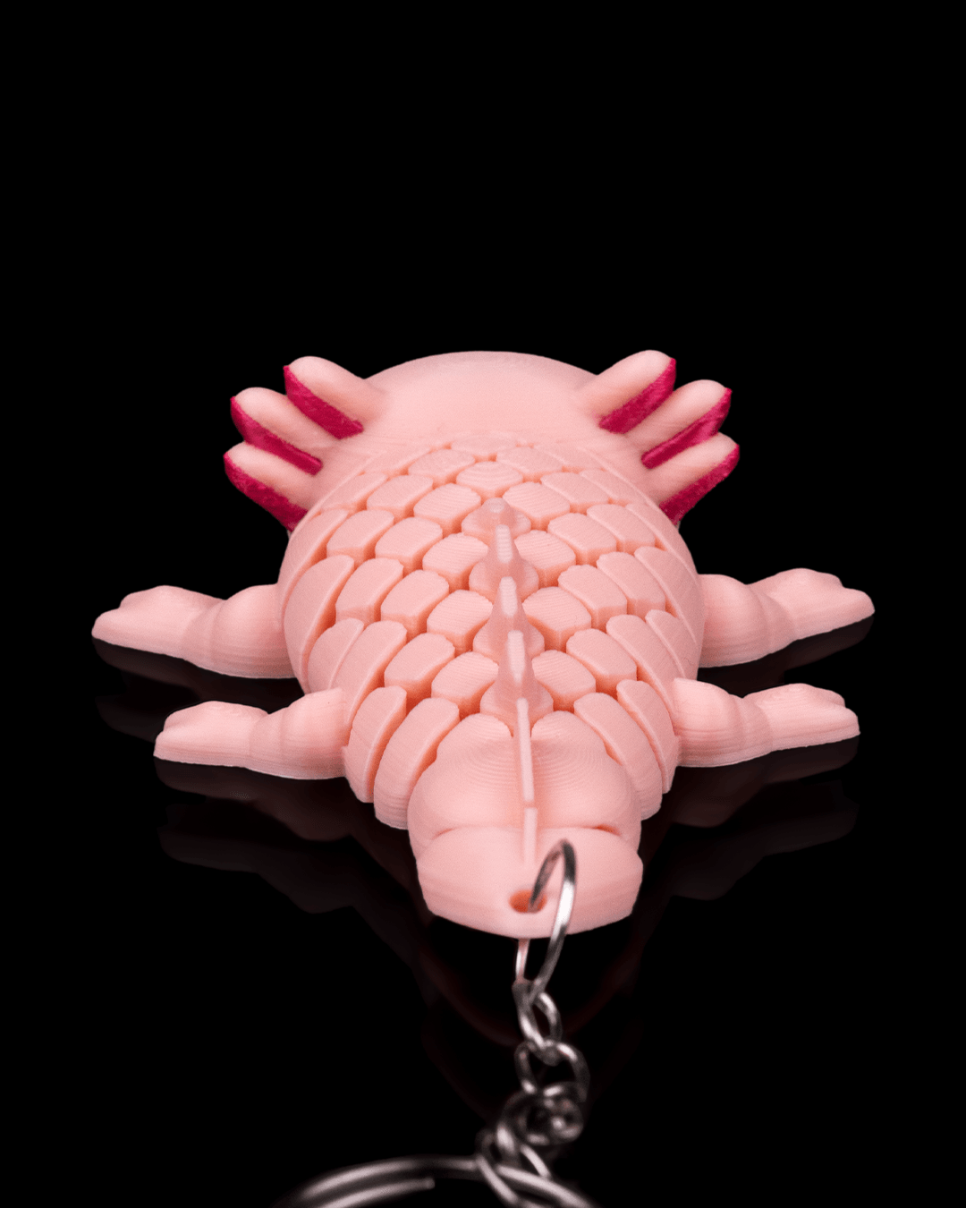 Ashley The Axolotl 4