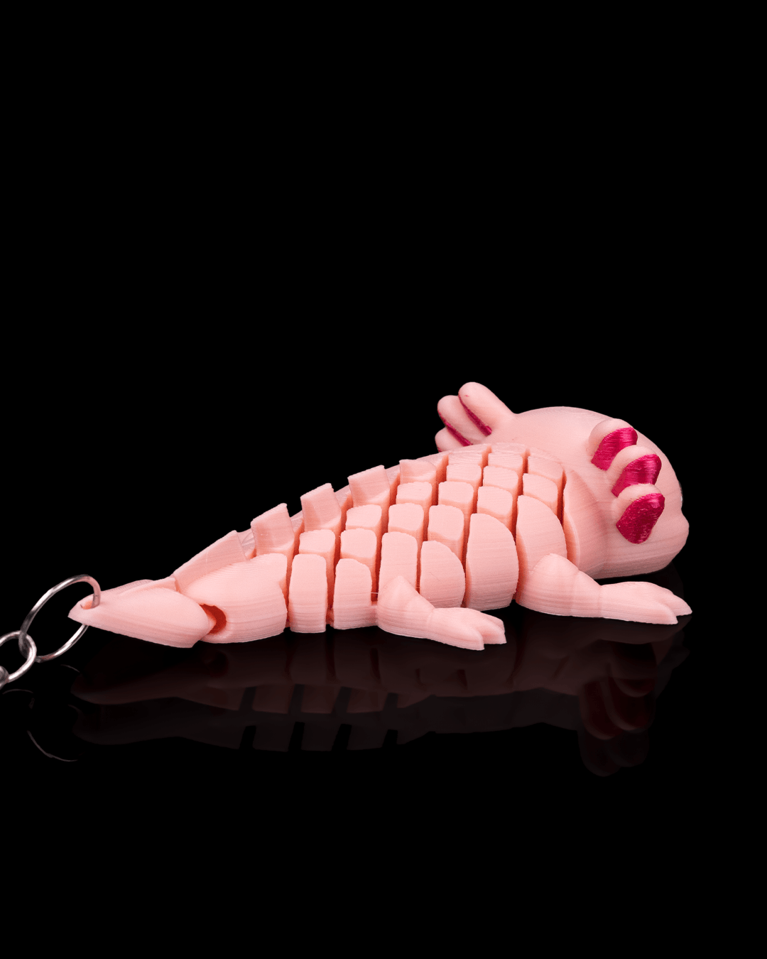 Ashley The Axolotl 5