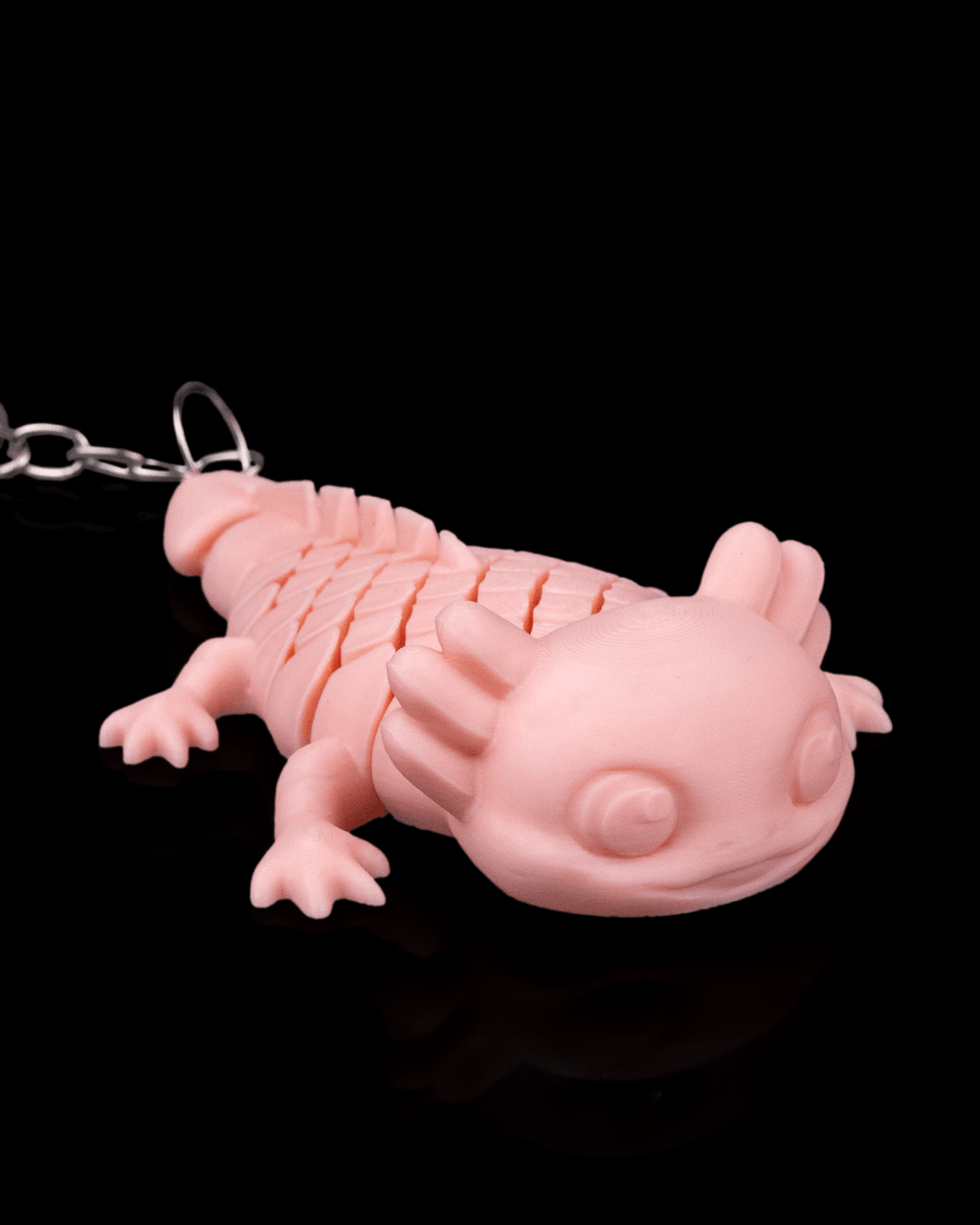 Ashley The Axolotl 7