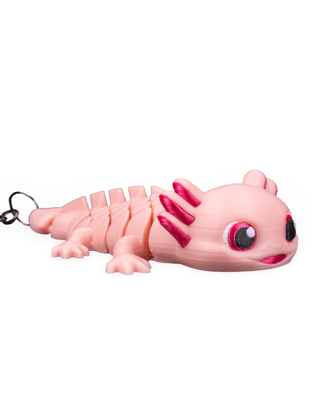 Ashley The Axolotl 8