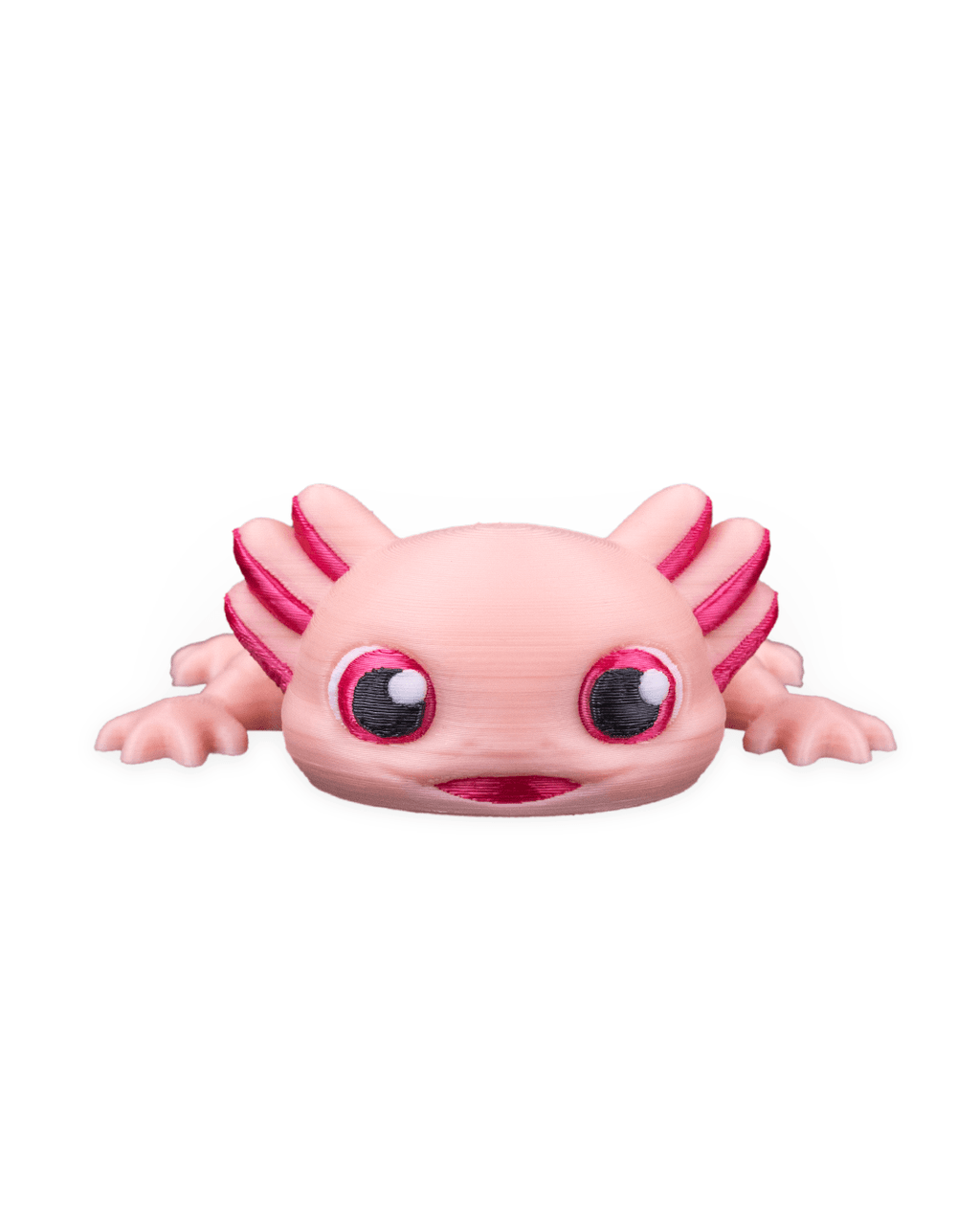 Ashley The Axolotl 9