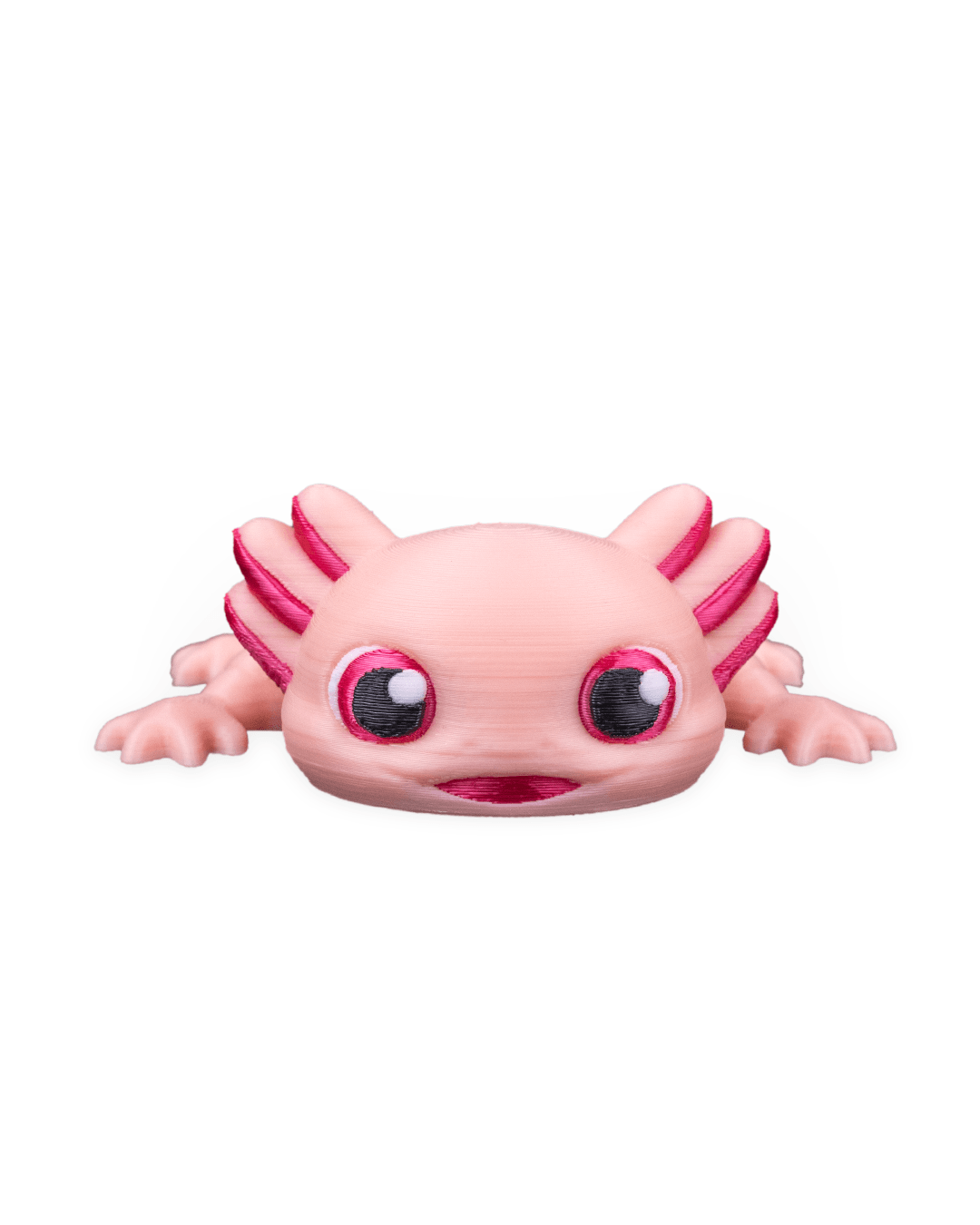 Ashley The Axolotl 9