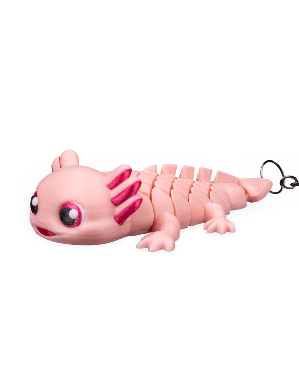 Ashley The Axolotl 10