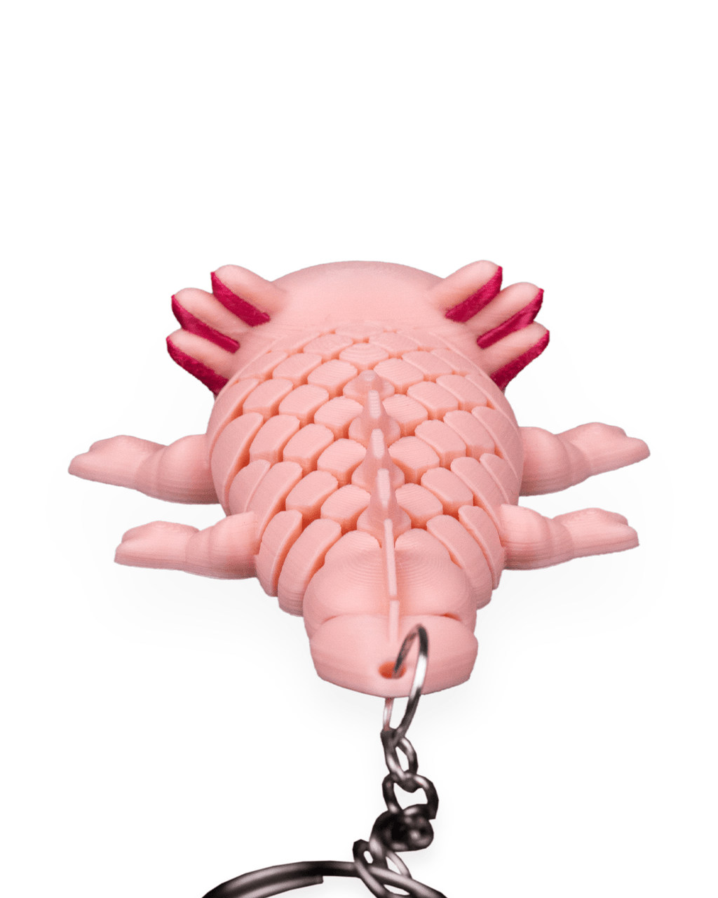 Ashley The Axolotl 11