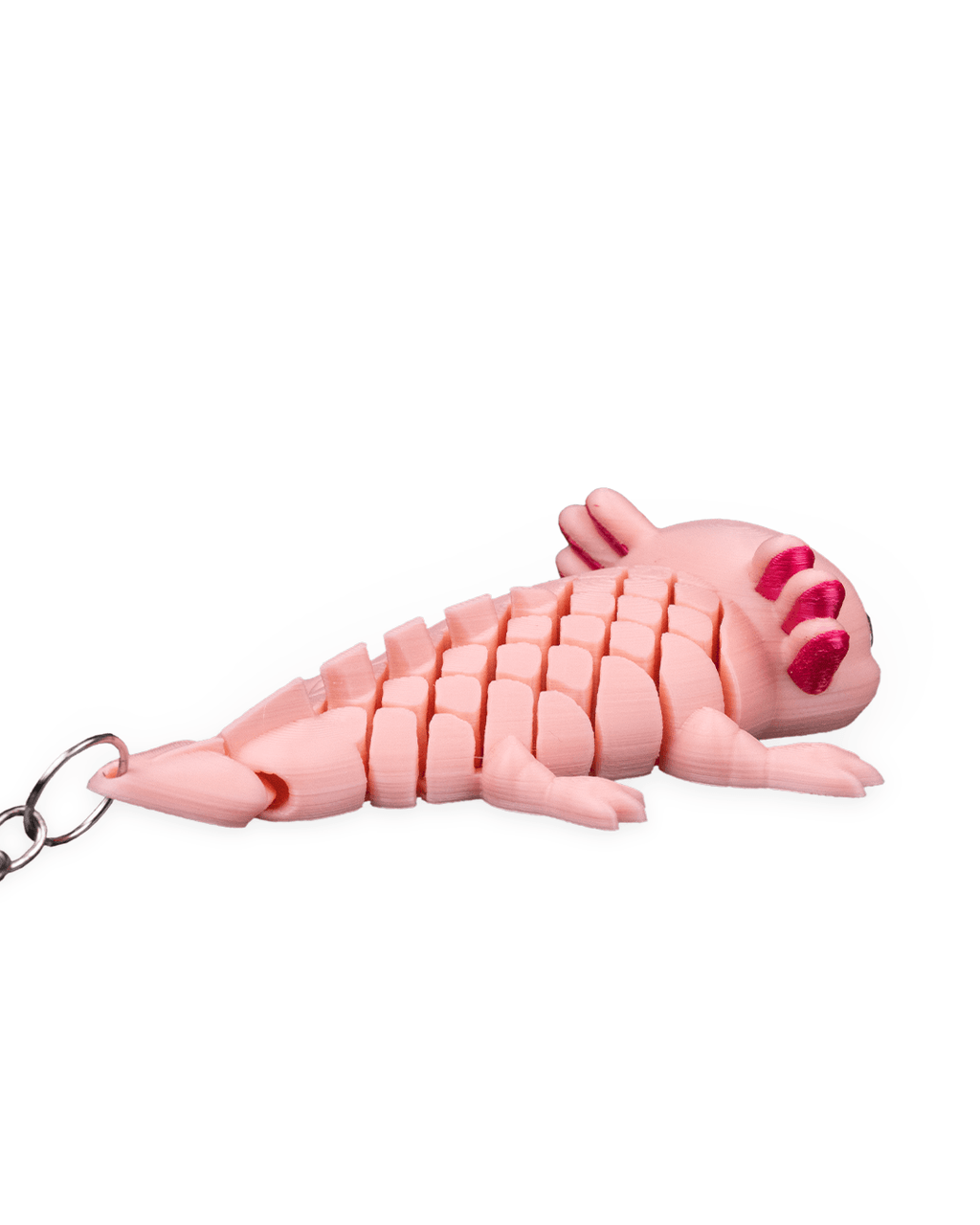 Ashley The Axolotl 12