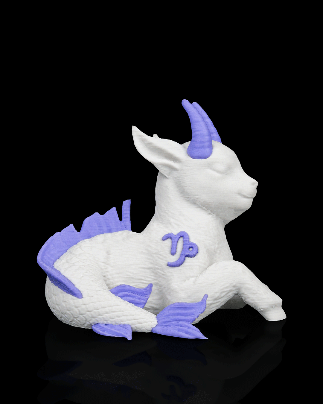 Capricorn Charm 4