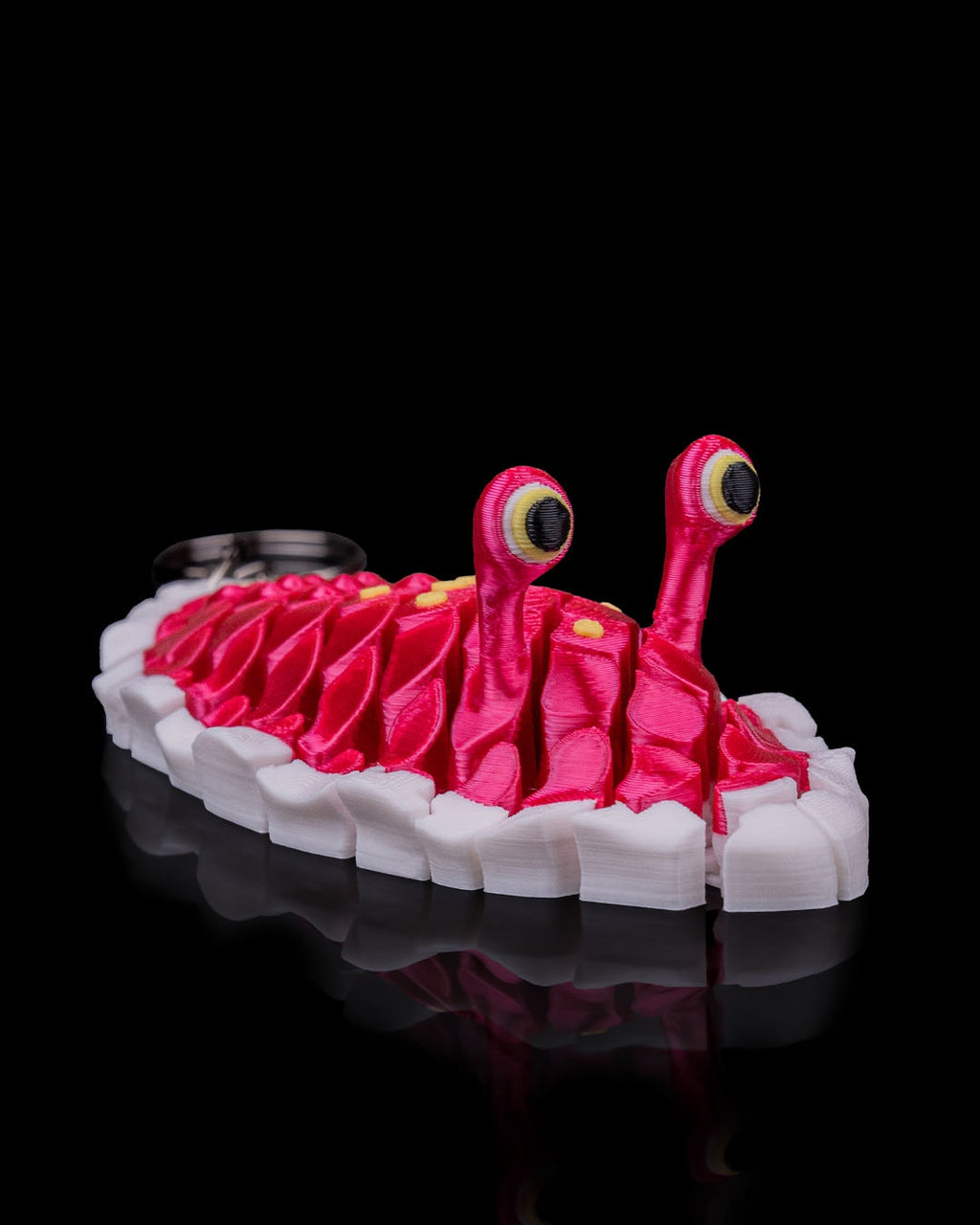 Doug The Sea Slug 4