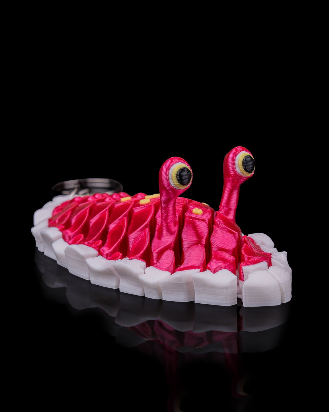 Doug The Sea Slug 4
