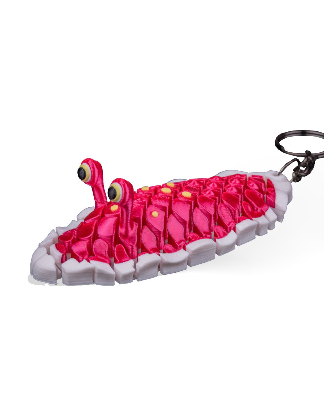 Doug The Sea Slug 8
