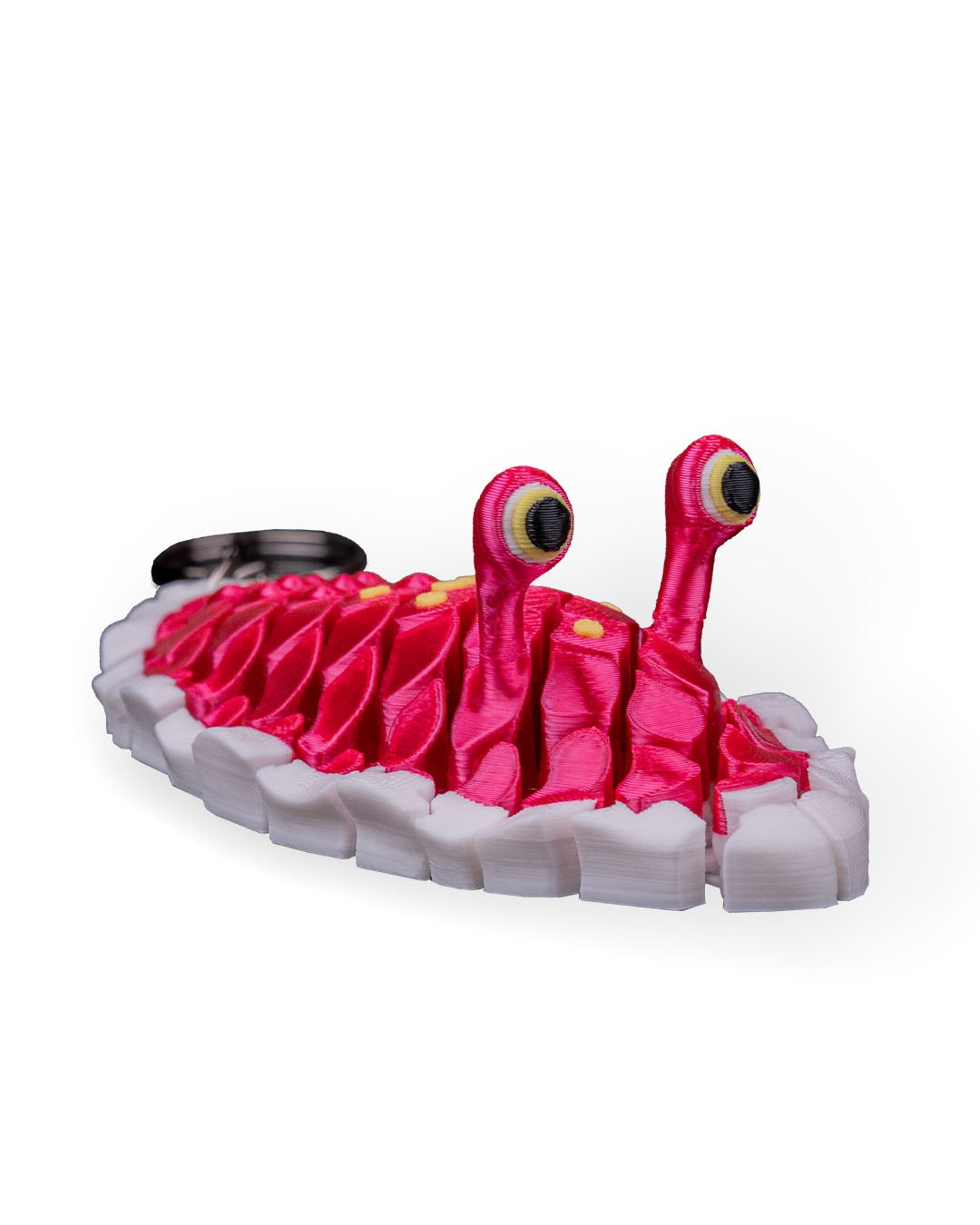 Doug The Sea Slug 10