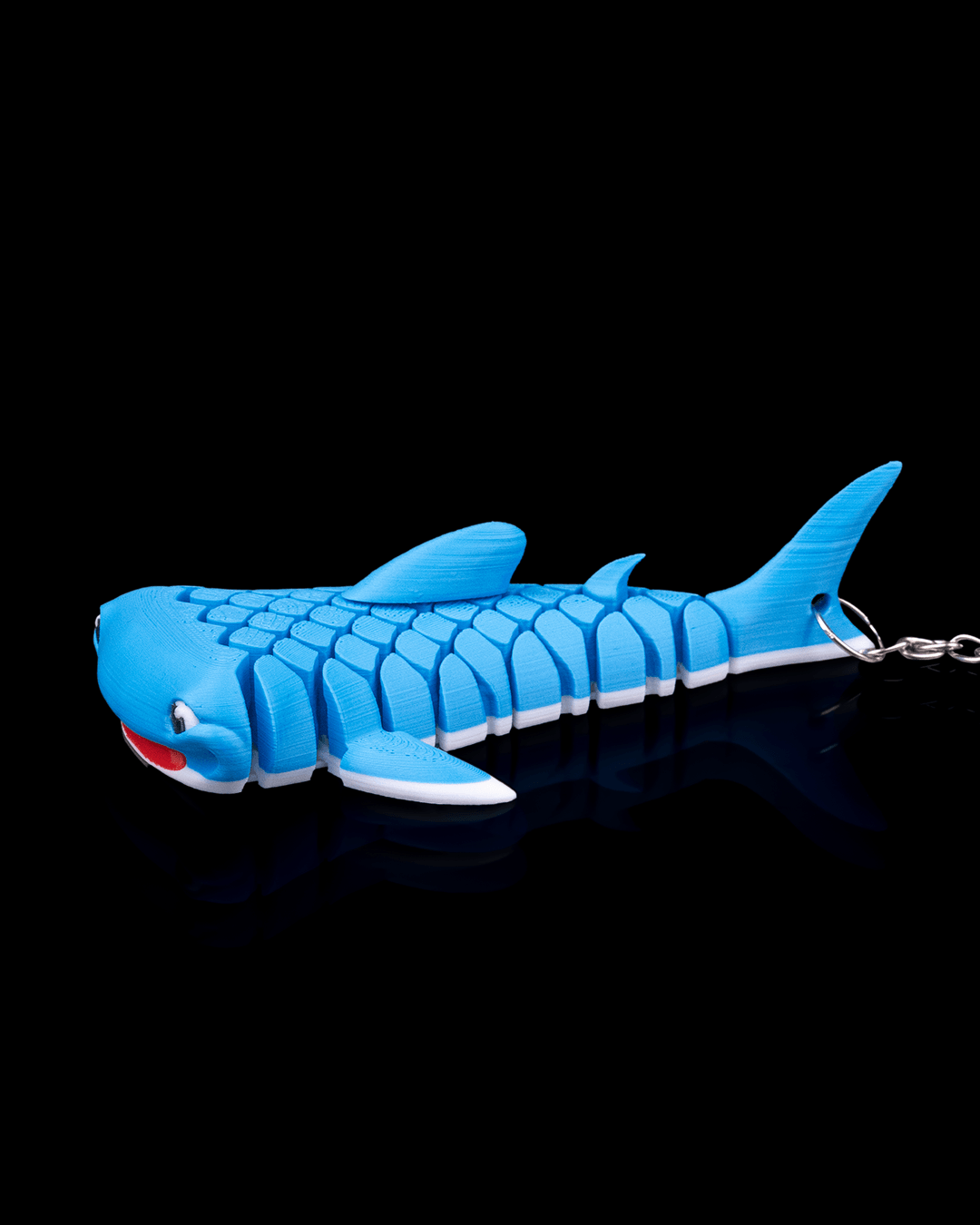 Mark The Whale Shark 4