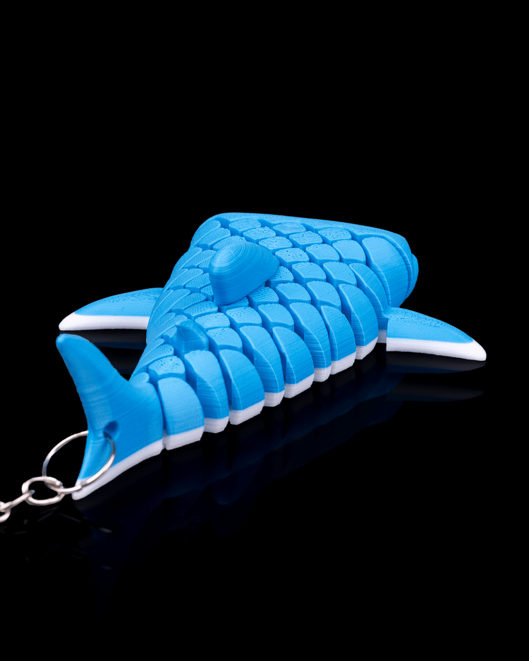 Mark The Whale Shark 5