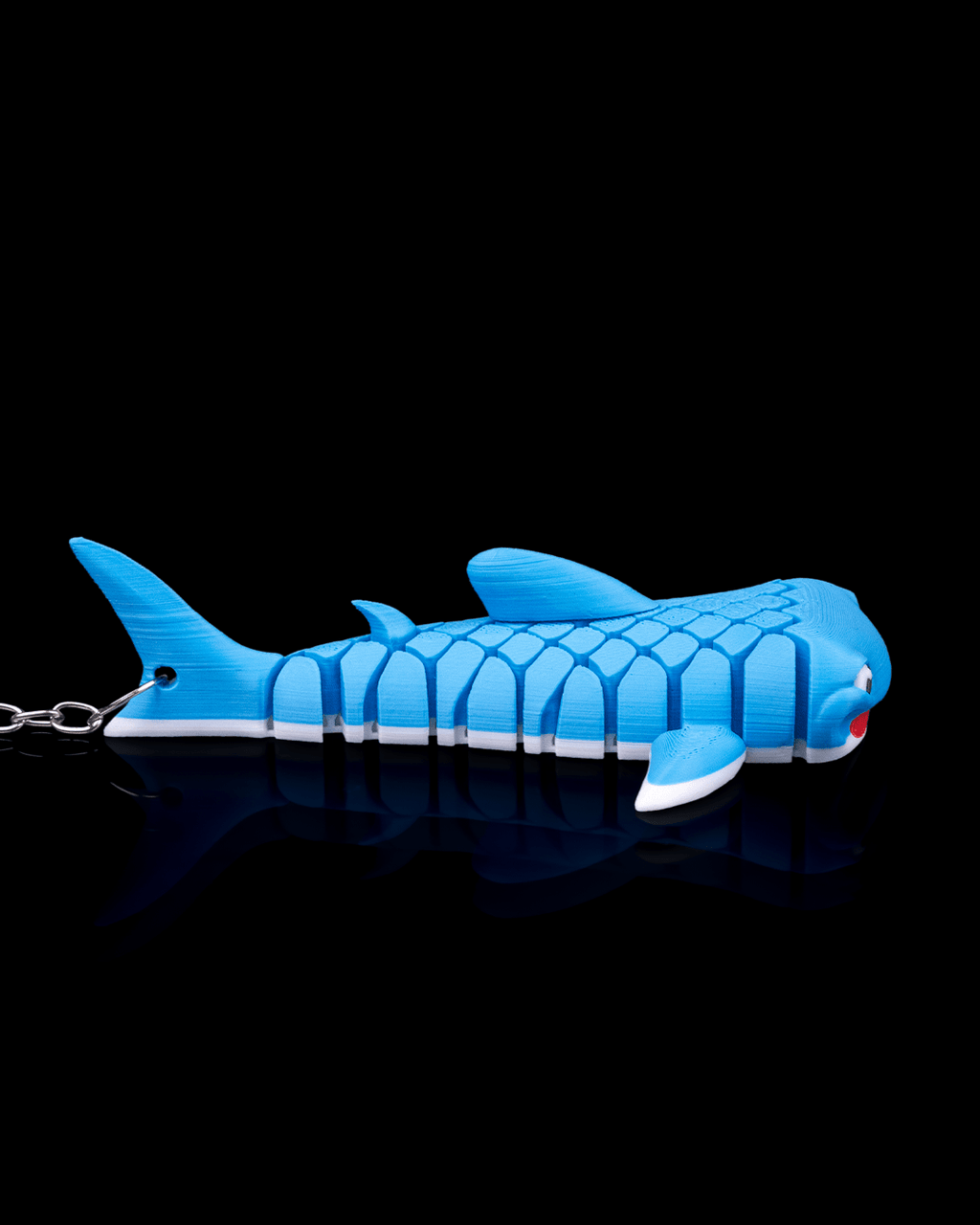 Mark The Whale Shark 6