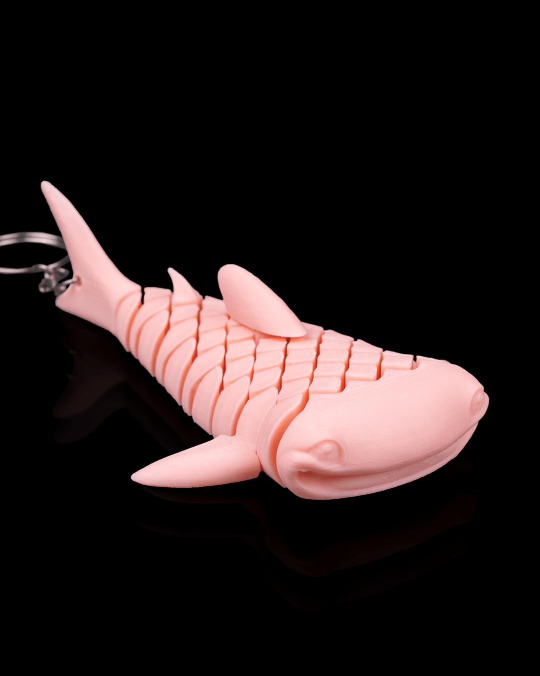 Mark The Whale Shark 7