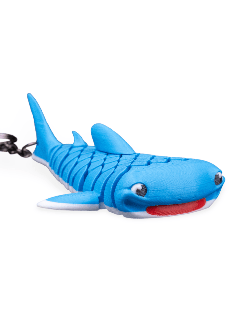 Mark The Whale Shark 8