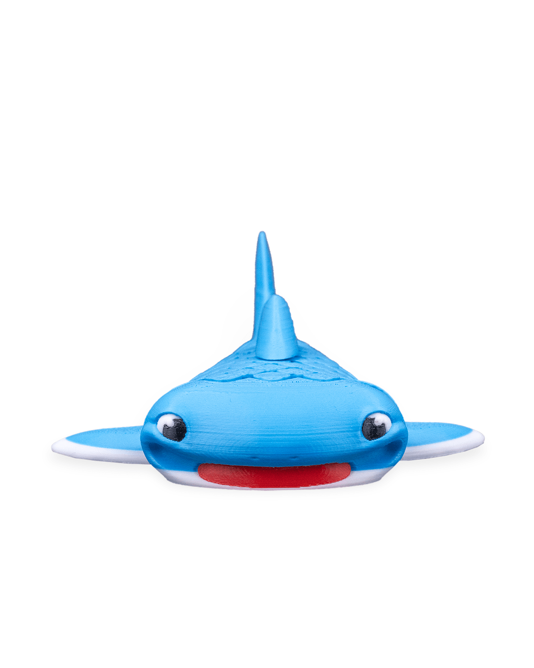 Mark The Whale Shark 9