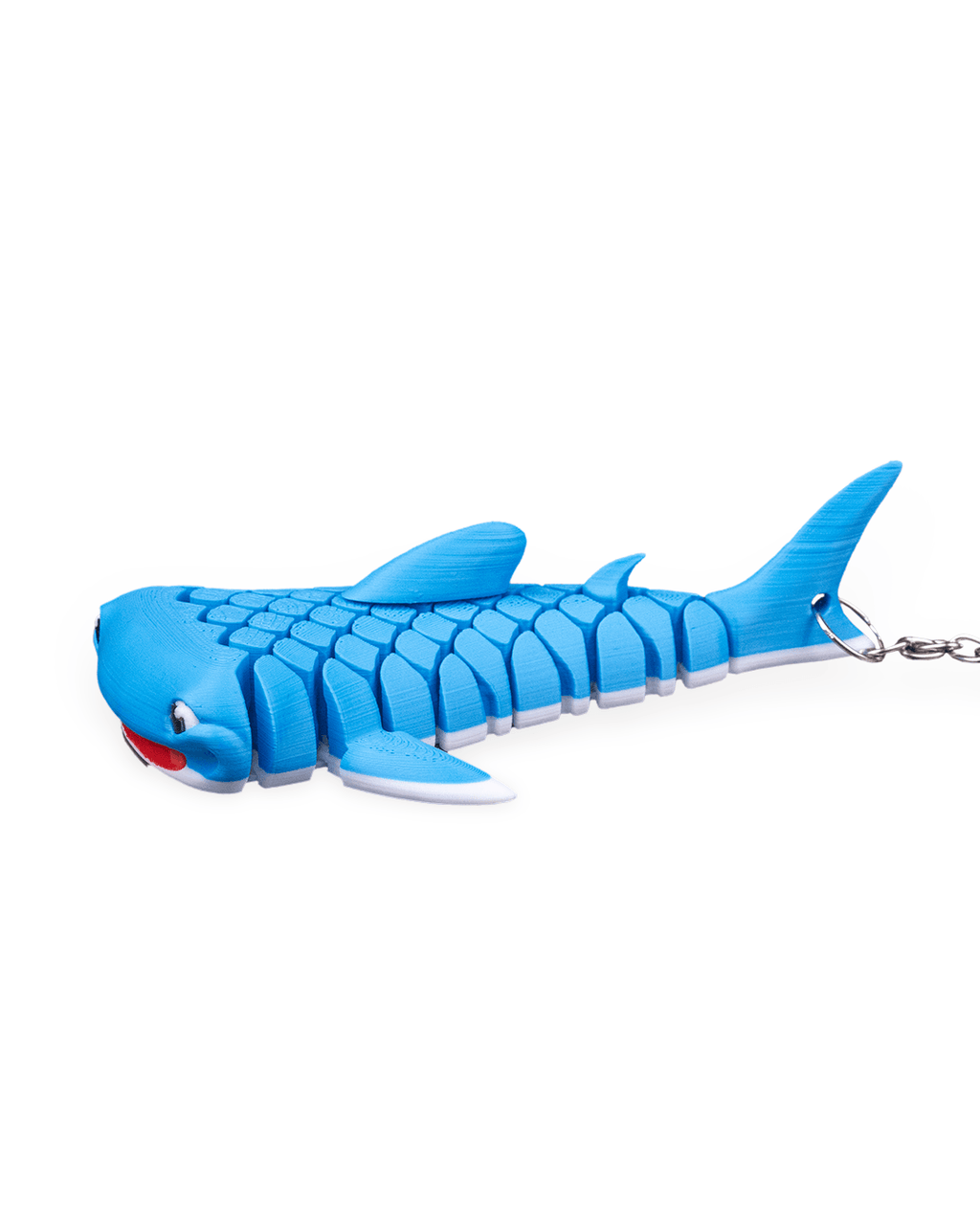 Mark The Whale Shark 10