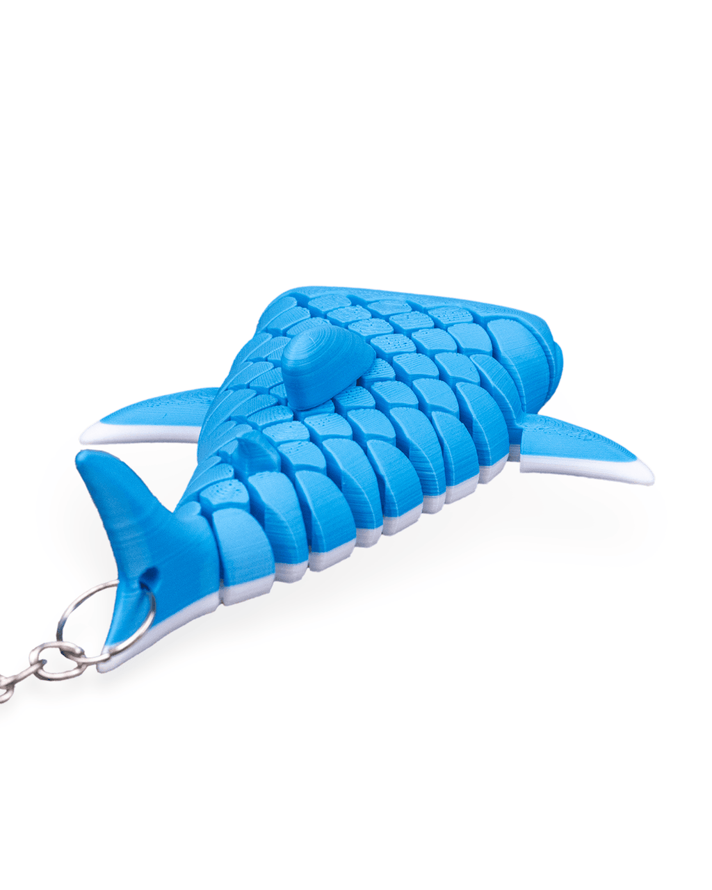 Mark The Whale Shark 11