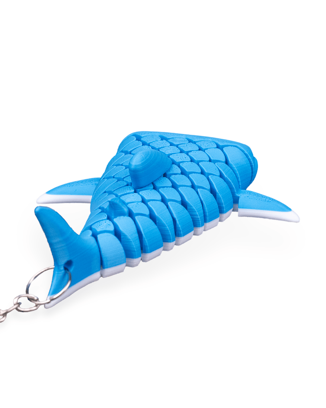 Mark The Whale Shark 11