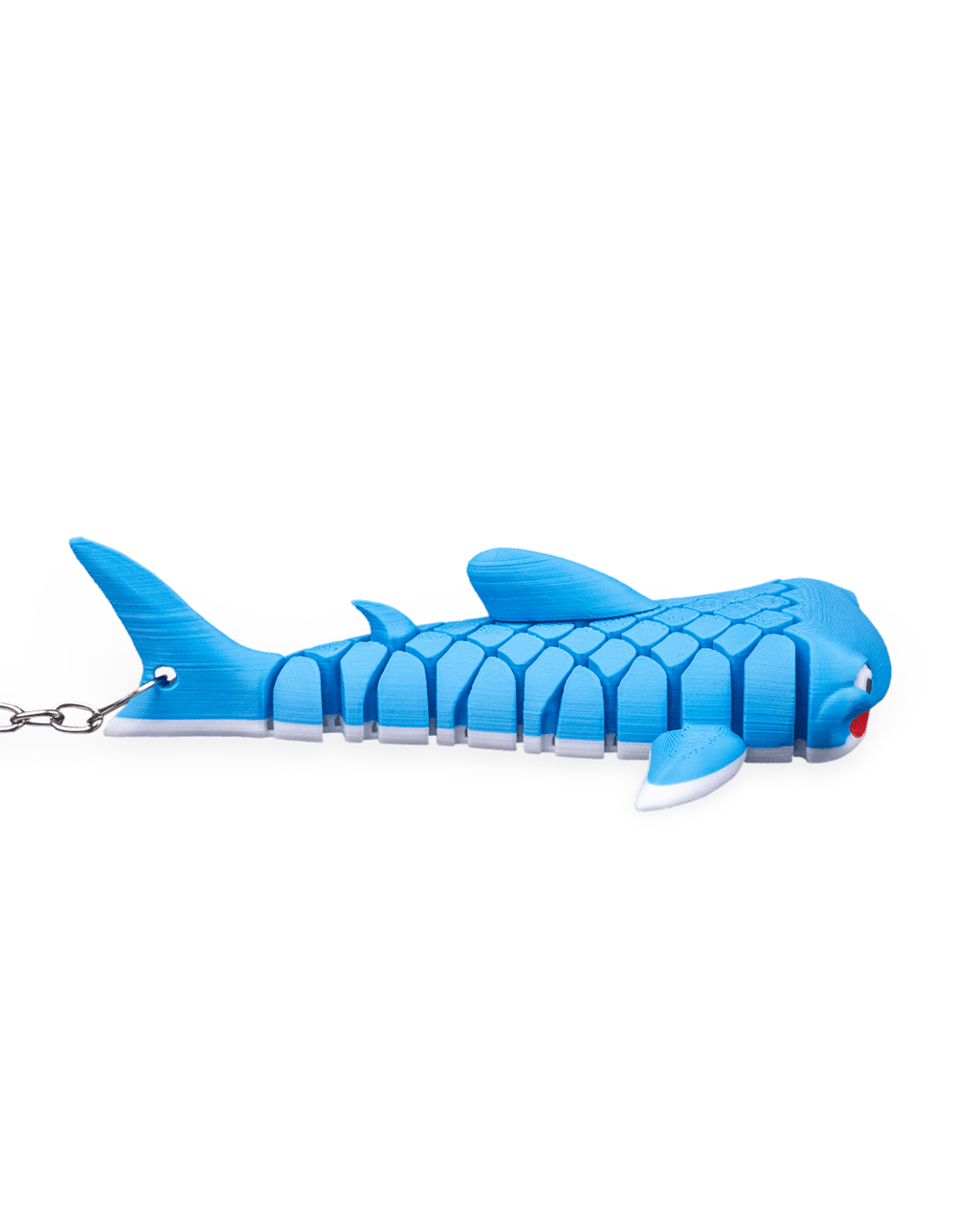 Mark The Whale Shark 12