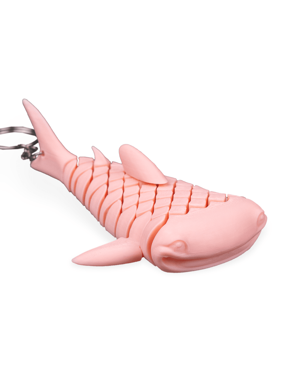 Mark The Whale Shark 13