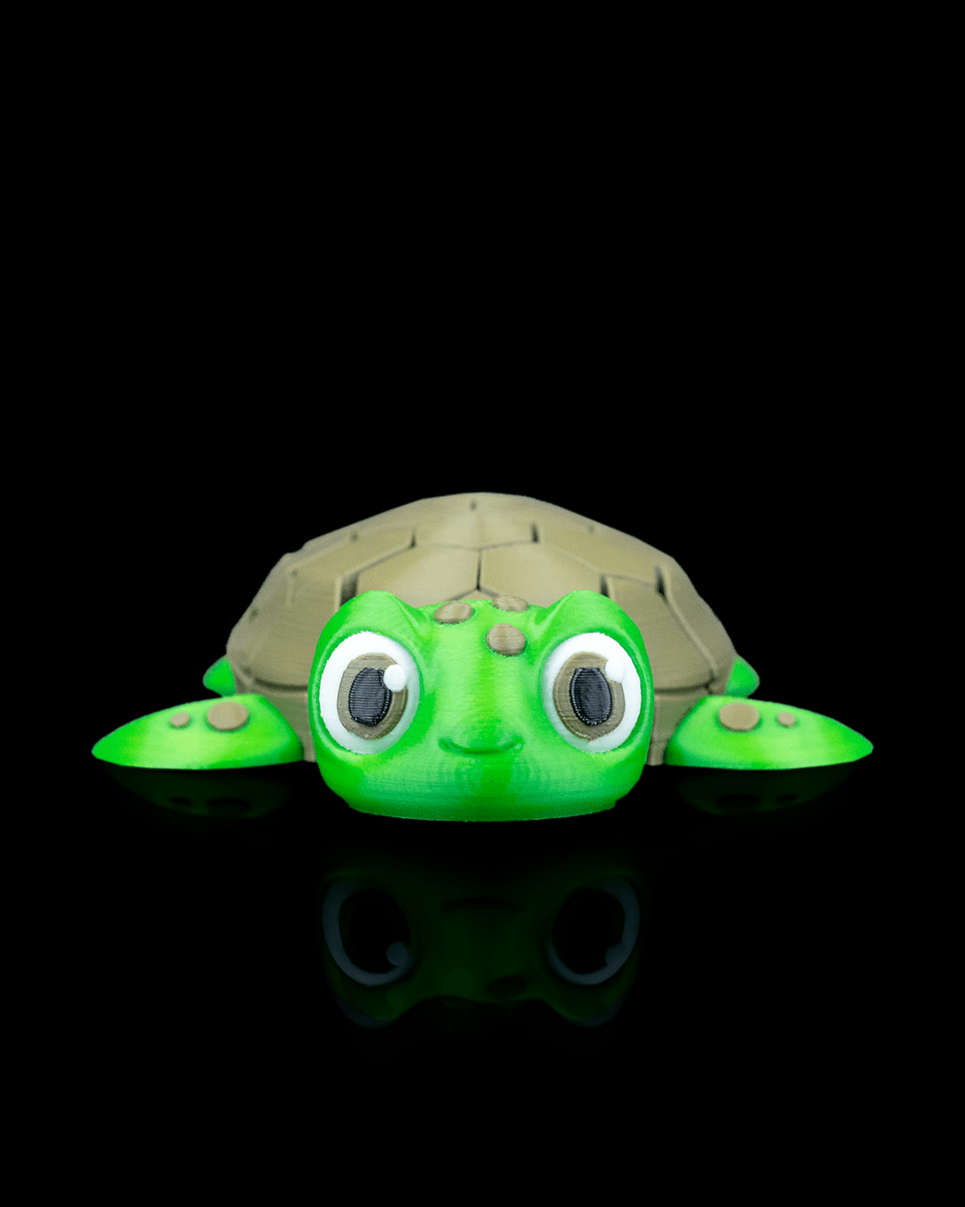 Myrtle The Turtle 3
