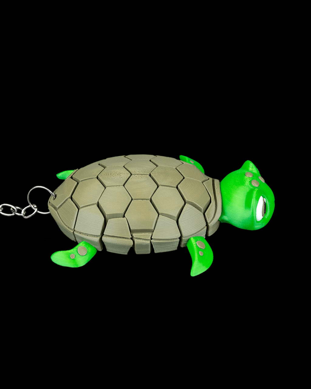 Myrtle The Turtle 4