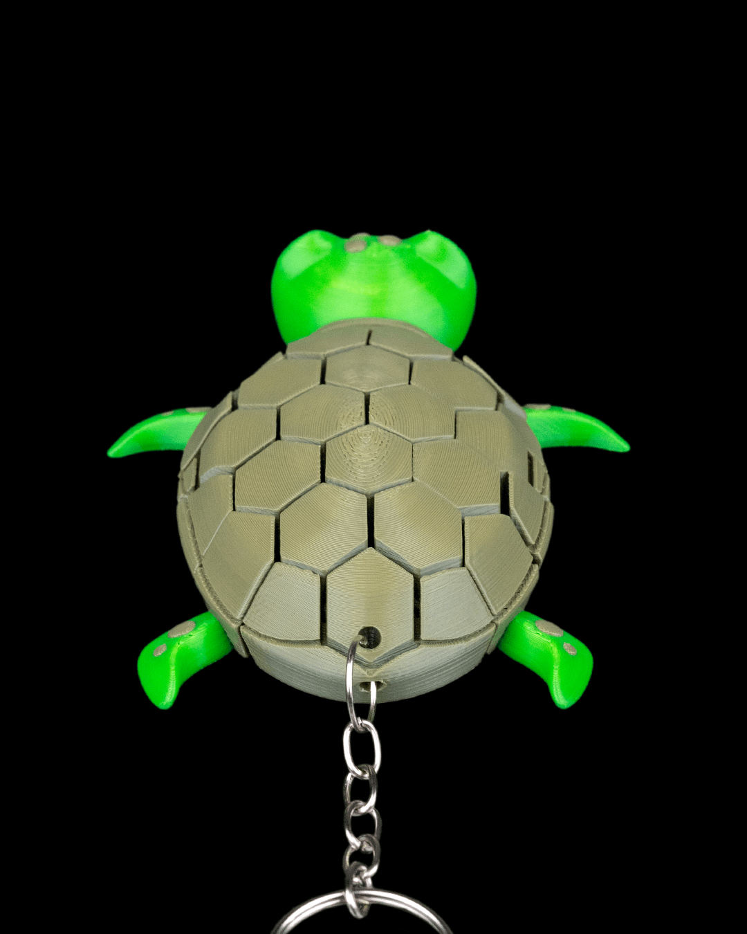 Myrtle The Turtle 5