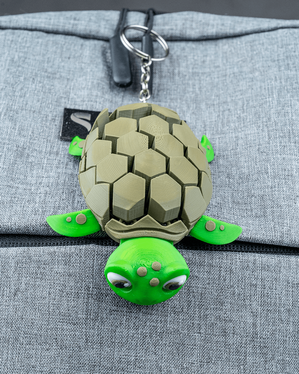 Myrtle The Turtle 6