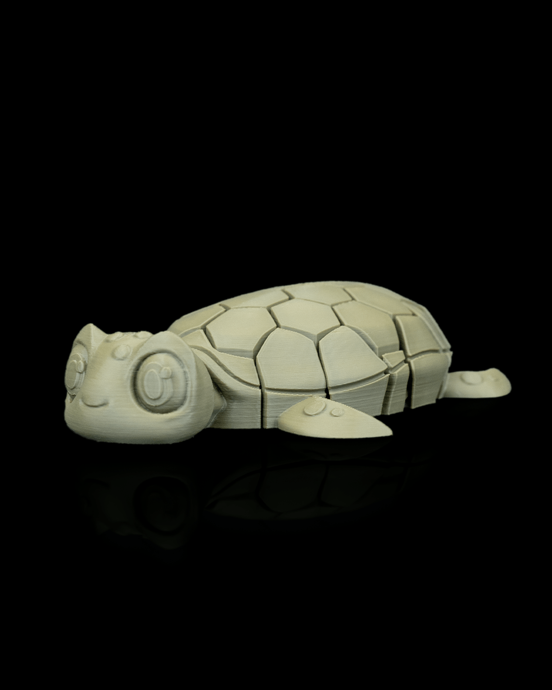 Myrtle The Turtle 7