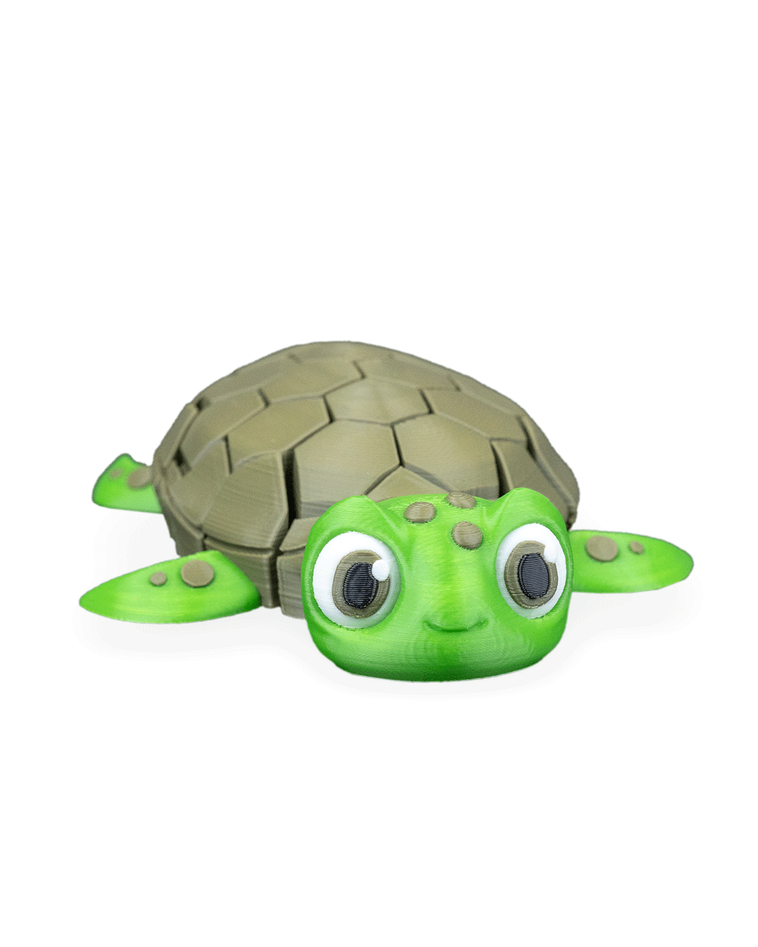 Myrtle The Turtle 11