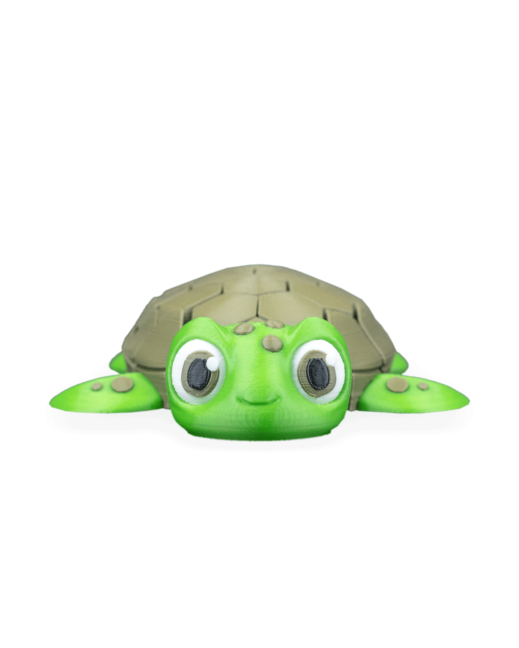 Myrtle The Turtle 13
