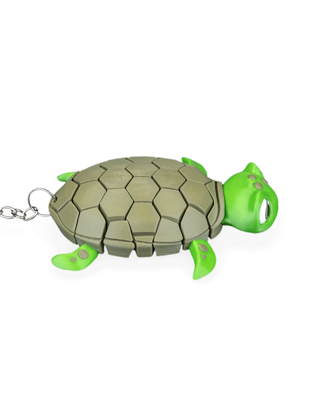 Myrtle The Turtle 14