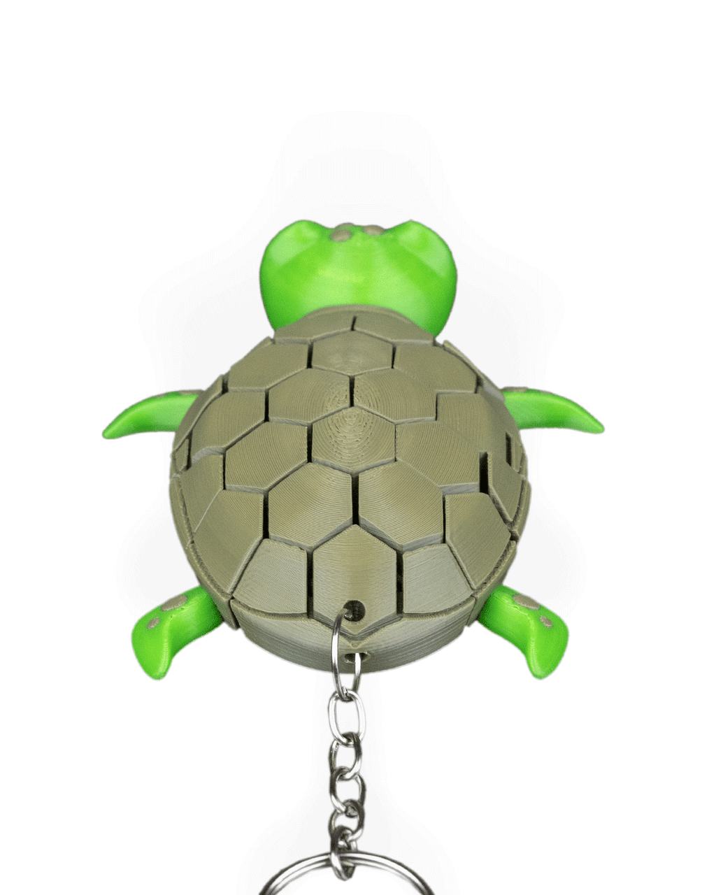 Myrtle The Turtle 15