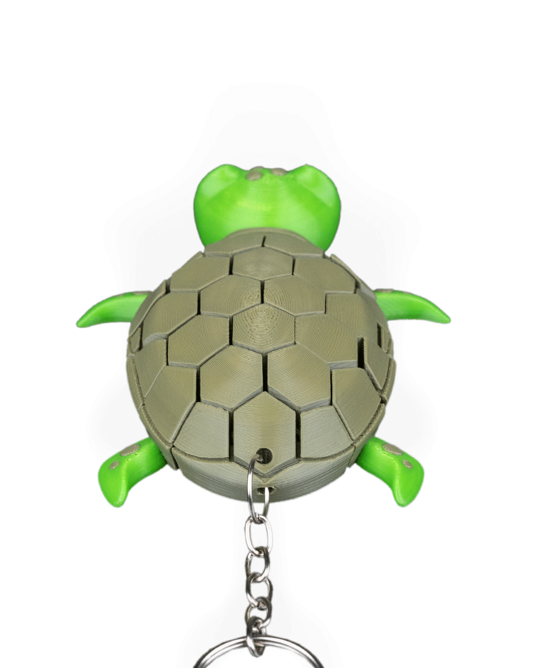 Myrtle The Turtle 15