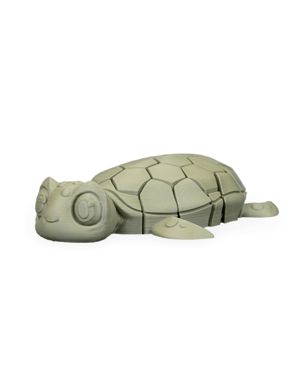 Myrtle The Turtle 16