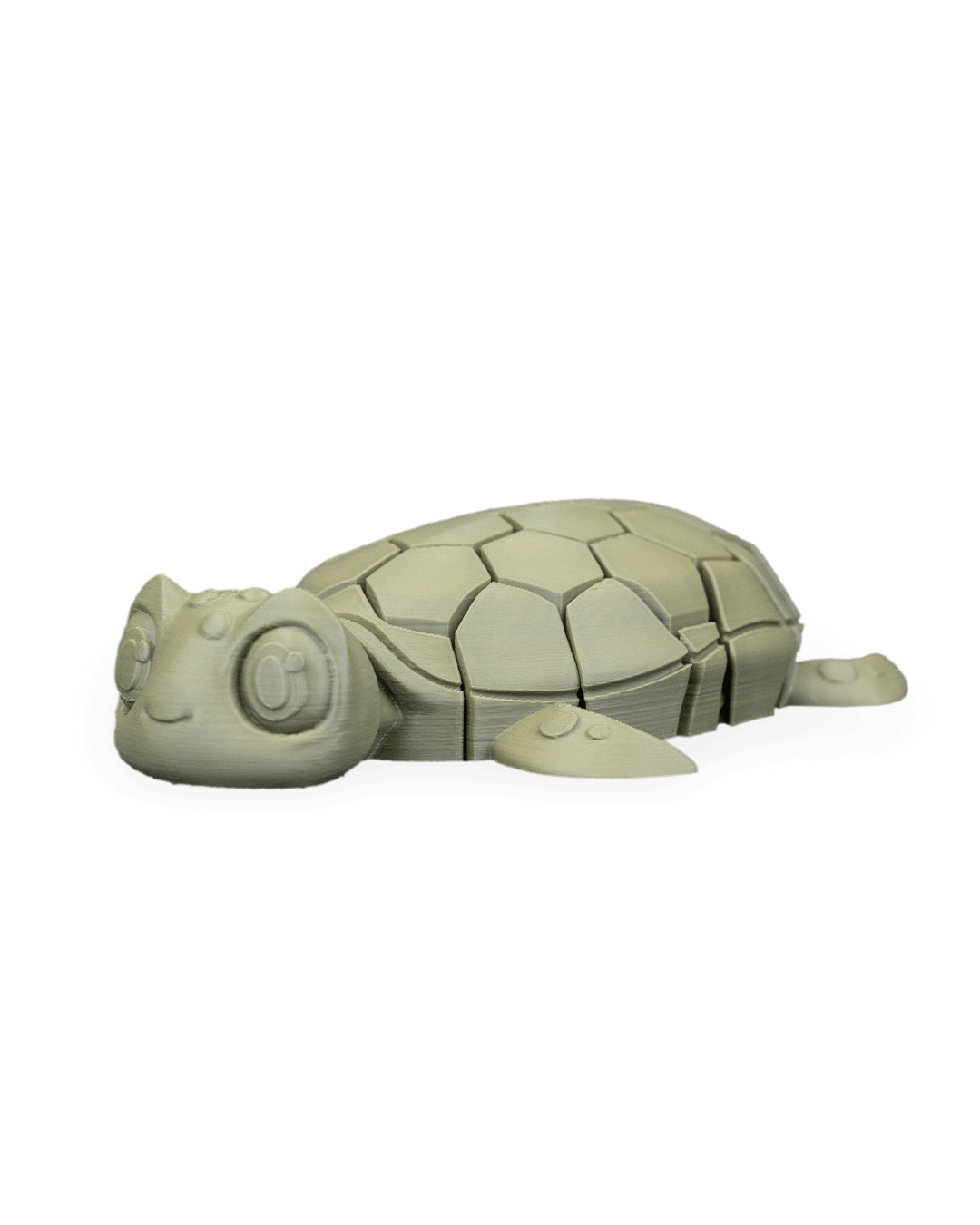 Myrtle The Turtle 16