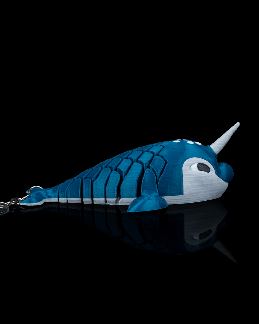 Paul The Narwhal 5