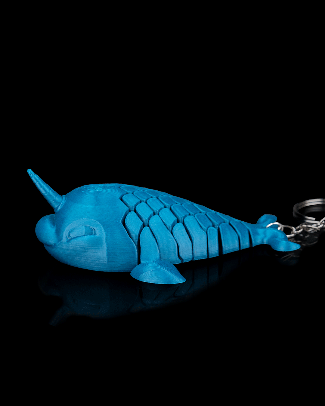 Paul The Narwhal 7
