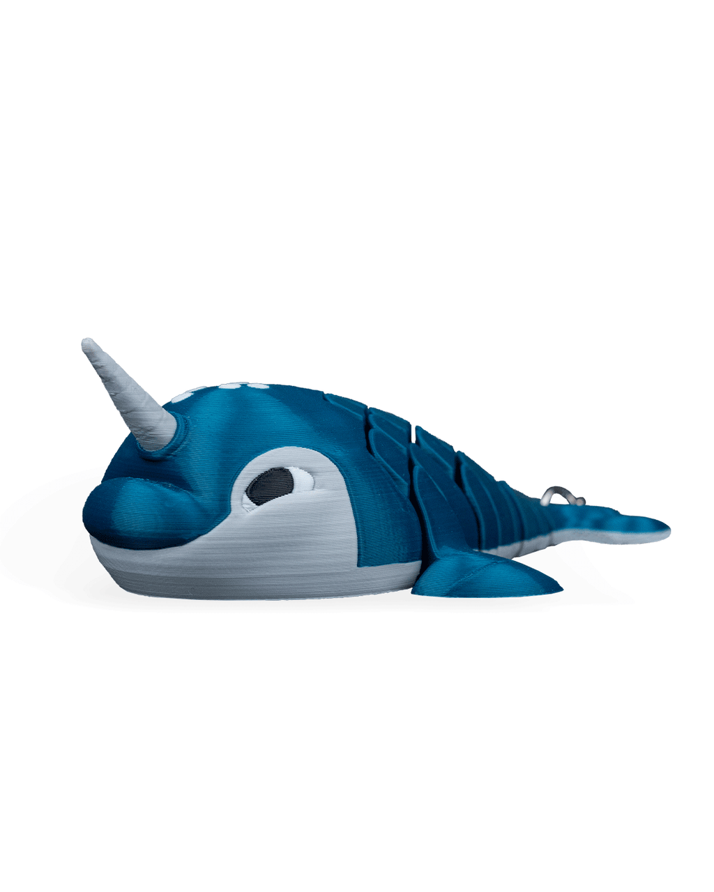 Paul The Narwhal 13