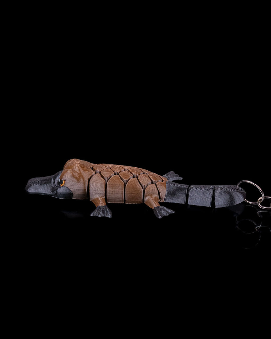 Pierre The Platypus 2
