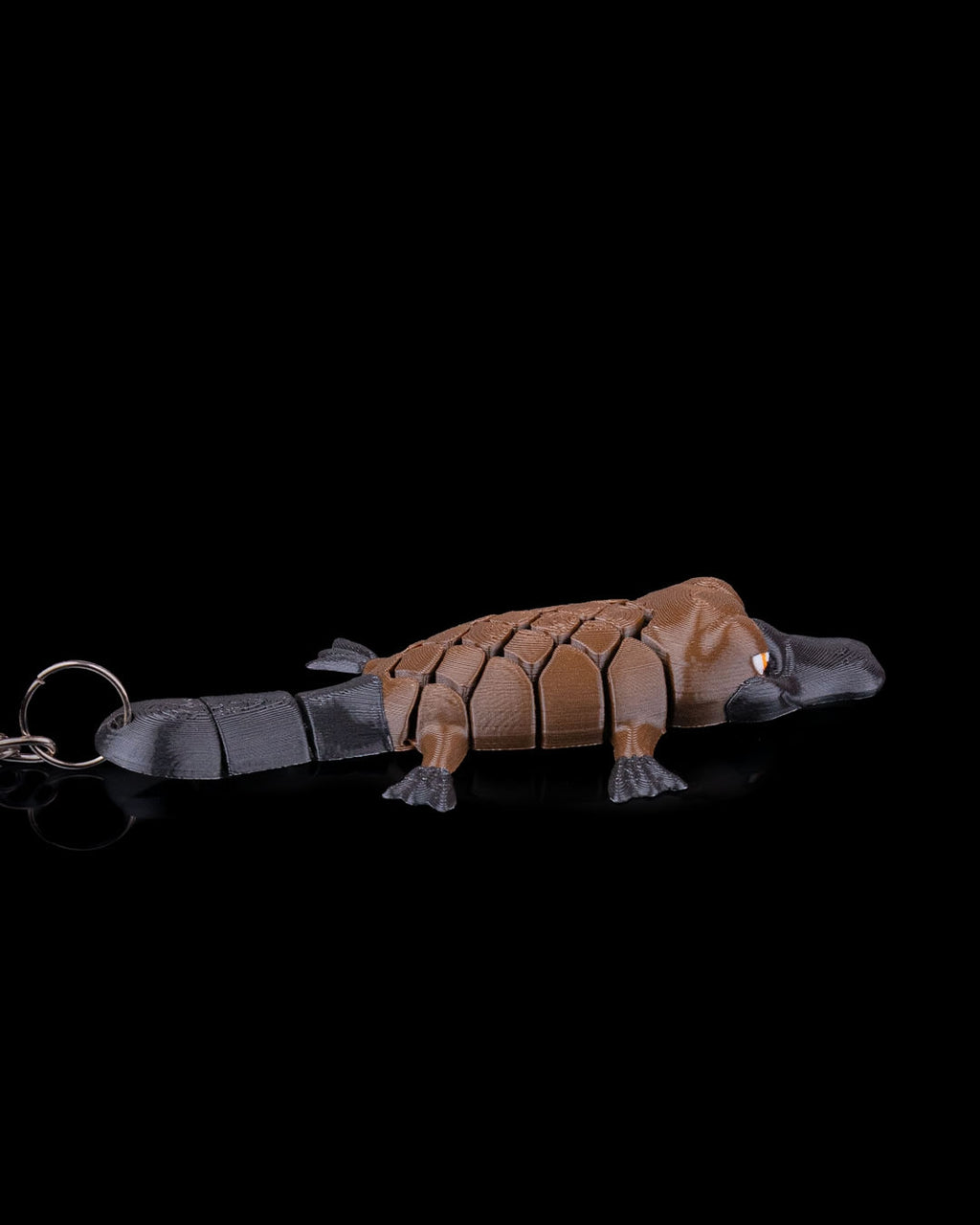 Pierre The Platypus 4