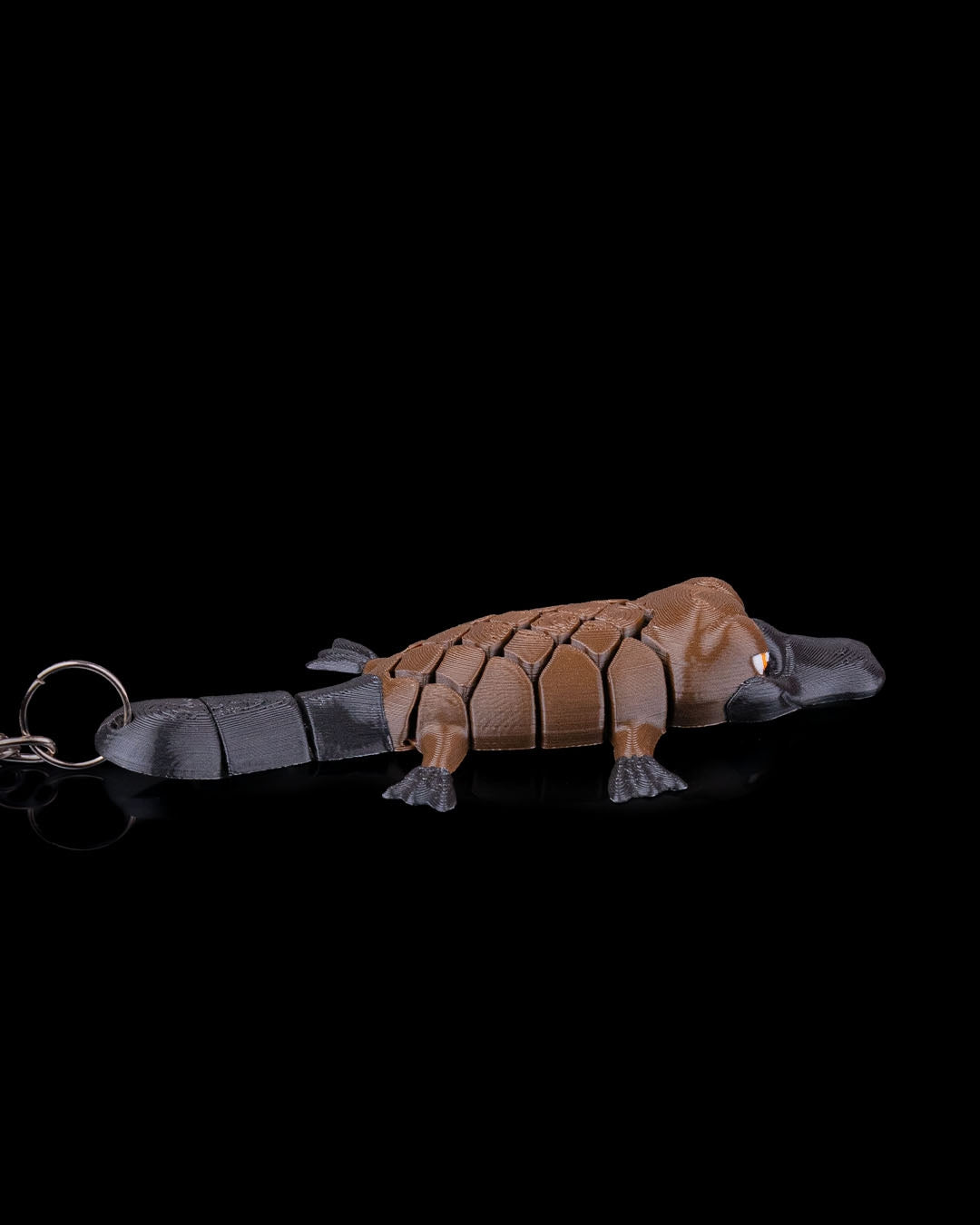 Pierre The Platypus 4
