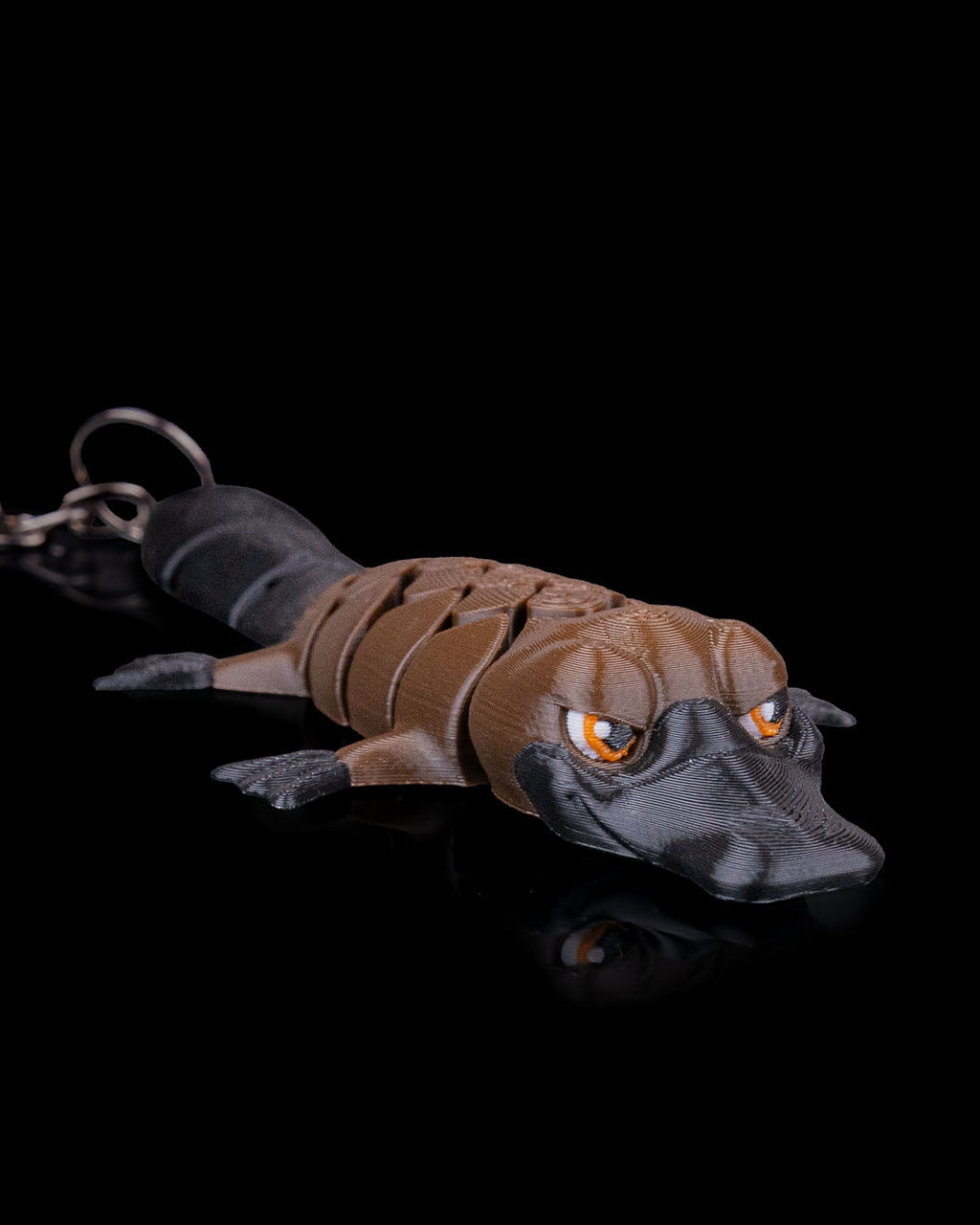 Pierre The Platypus 5
