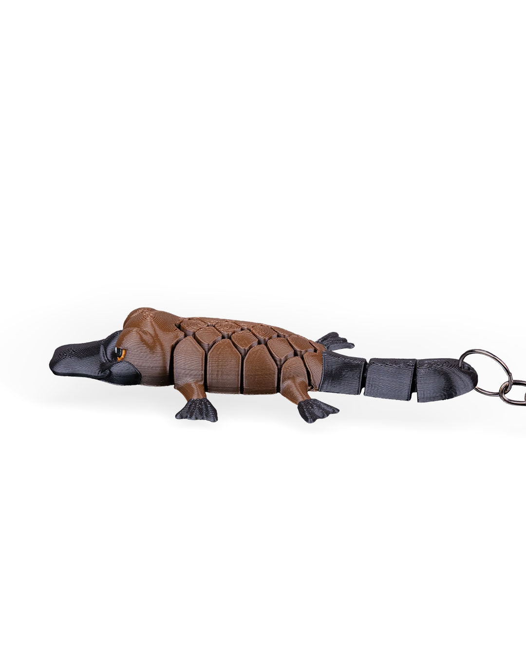 Pierre The Platypus 9