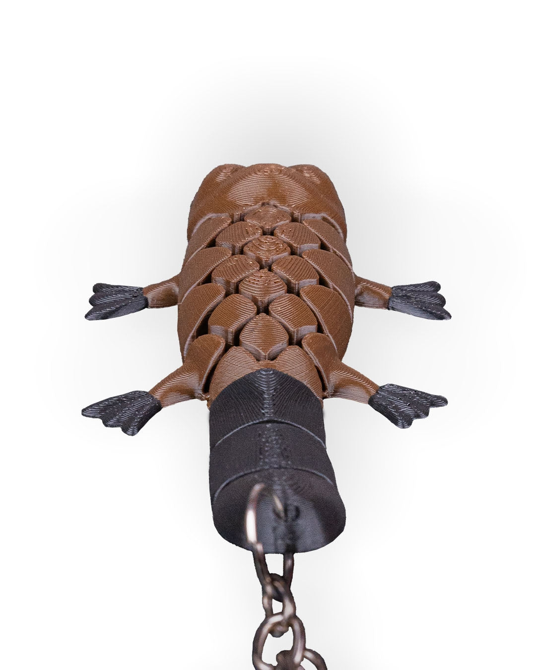 Pierre The Platypus 10