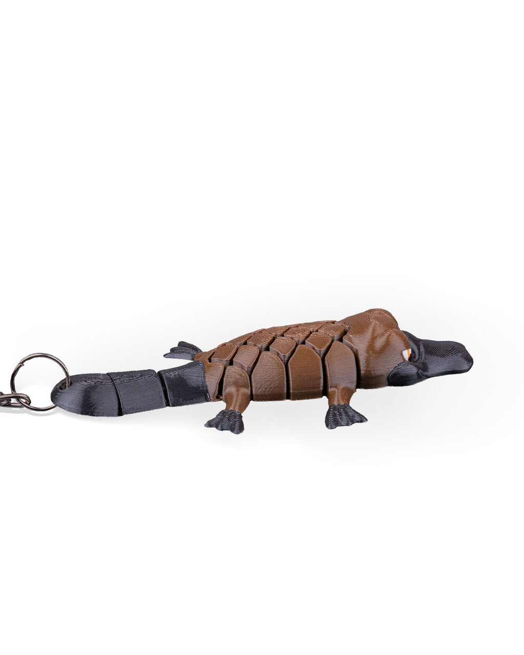 Pierre The Platypus 11